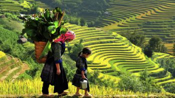 Giới thiệu Sa Pa