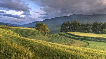 Nước Cộng hoà Xã hội chủ nghĩa Việt Nam